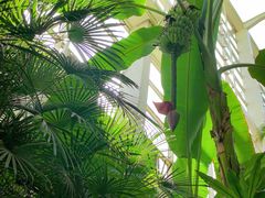 -龙熙温泉水世界