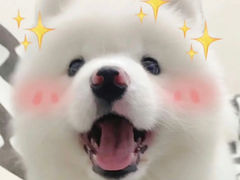 -铁真·没分店·刨冰·红焖羊肉