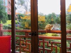 -随园餐厅自助早餐(祥生大酒店)