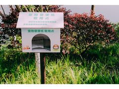 -重庆彩云湖湿地公园