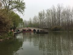 -溱湖国家湿地公园