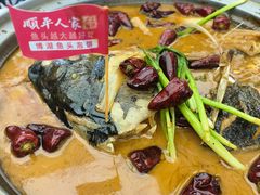 -顺平人家