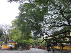 -桂林独秀峰王城景区