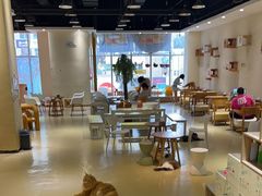 -藏猫猫咖啡主题馆(中央大道店)