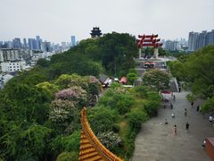 -黄鹤楼公园(黄鹤楼)