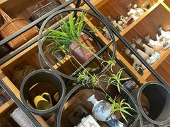 -阳光家常菜(泉城路店)