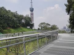 -广州雕塑公园