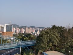 -富斯特索道