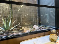 -老李家土菜馆·安吉地标美食