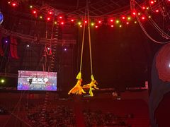 -俄罗斯国家大马戏团