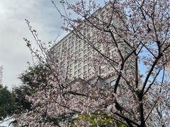 -兰溪青年公园