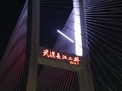 -武汉知音号