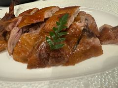 -圆苑(金茂店)