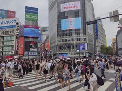 -涩谷全向十字路口