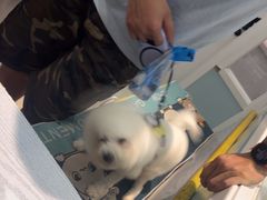 -纳吉亚猫专科动物医院·北北分院