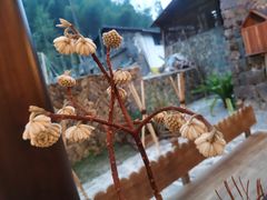 -MOJ coffee(瓯海泽雅水碓坑店)