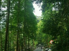 -峨眉山报国寺