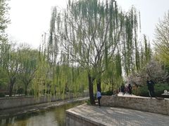 -元大都城垣遗址公园