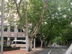 -徐家汇源景区-衡山公园