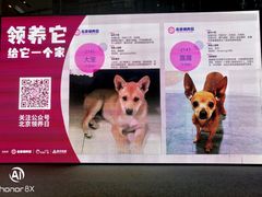 -远洋未来广场(育慧北路店)