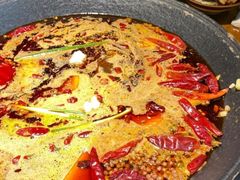 -阳阳老火锅(小南门店)