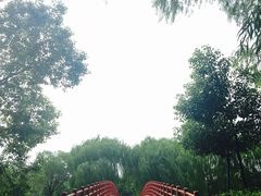 -上海美帆帆船露营基地