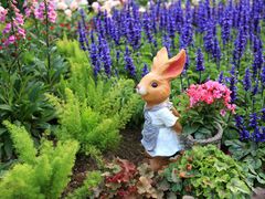 -人民公园(罗湖区)