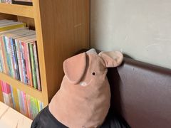 -思南书局(复兴中路店)