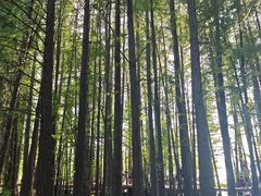 -东湖落雁景区