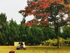 -南沙蒲洲花园