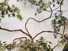 -耳艺采耳·足疗·按摩SPA(市桥店)