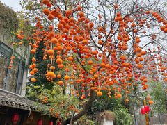 -田园印象·成都土菜院子(华阳店)