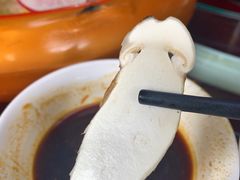 -山大王菌莊