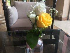 -圣爵菲斯大酒店(长沙世界之窗店)