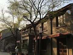 -两棵枇杷树