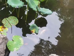 -南浔古镇
