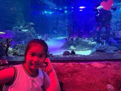 -沈阳海洋探索中心