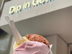 荔枝莲雾-Dip in Gelato(富民路店)