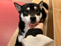 -和它·交个朋友·狗咖猫咖(爱琴海店)