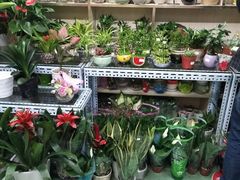 -爱尚鲜花店(粤通综合楼店)