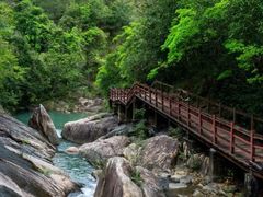 -广州白江湖森林公园