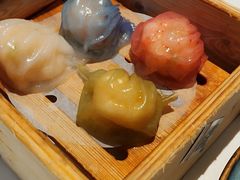 -侨美·唐荔园·40年地道粤菜