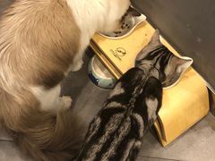 -咖法森林·咖啡  酒吧(天河店)