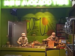 -油梨树AVOCADO TREE(顺义新国展店)