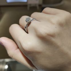 -钻石小鸟钻戒婚戒定制(石路店)