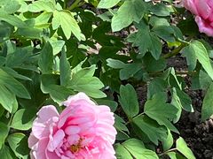 -江南大学(蠡湖校区)