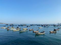 -海源公园