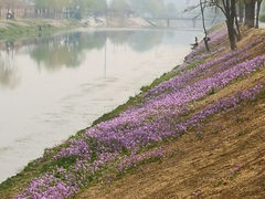 -东坝千亩湖公园