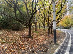 -苏州河梦清园环保主题公园