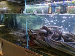 -本炙炭烤·蒲烧活鳗料理店(金沙洲店)